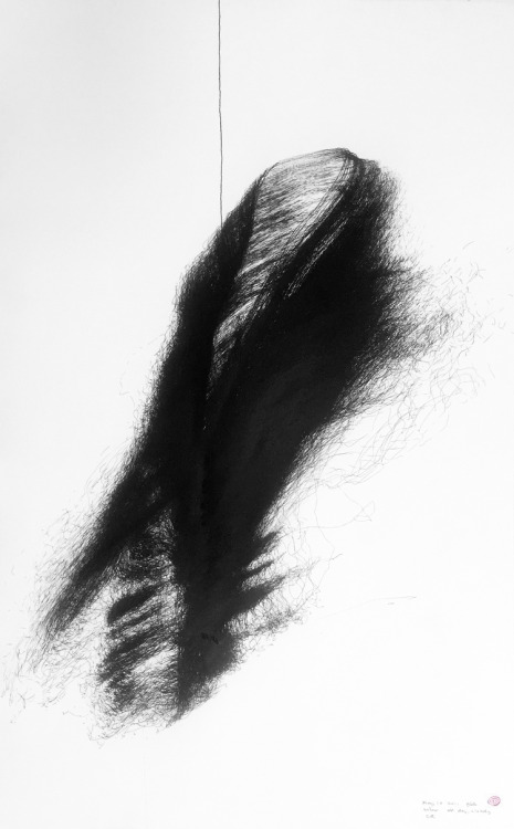 lafilleblanc:  CAMERON ROBBINSWind drawings & Field linesink op paper“…Cameron’s work is based on interaction with natural forces and the elements. He has devised many ways of producing a kind of collaboration between artist and nature using