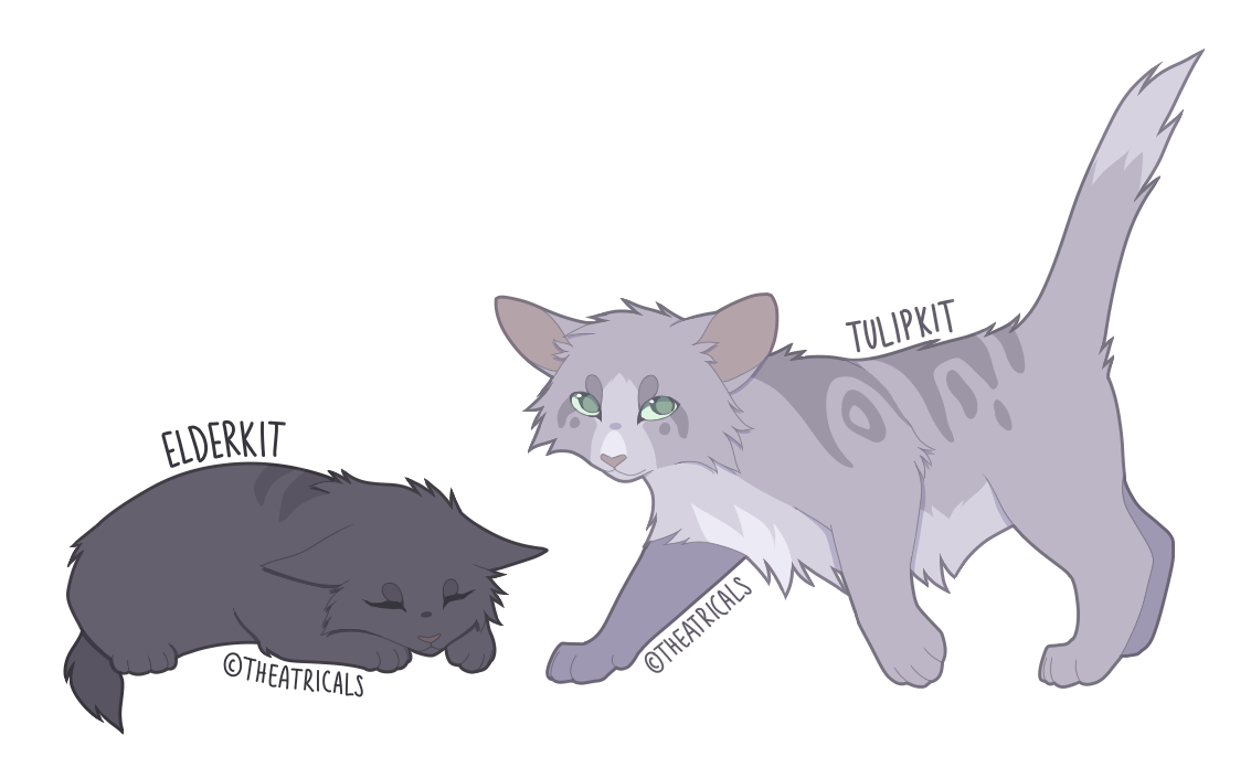 Kits playing  Warrior Cats