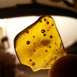 kushmagnet:  My buddy gave me this amazing