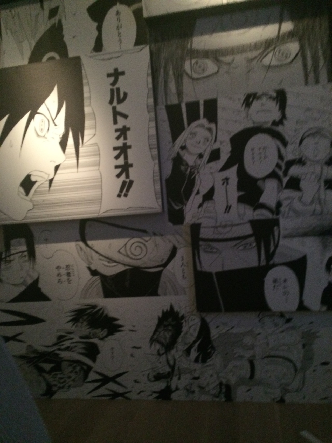 lipstickramen:  Continuation of the Naruto Exhibit pictures!The top picture is a