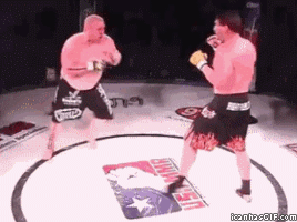 Sacos de Boxeo PRO