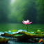 rainyreflections1424