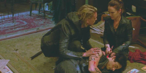 The Mortal Instruments Appreciation WeekDay 6-Favourite Family–>The Lightwoods and friends“