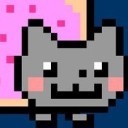 schrodingersnyancat avatar