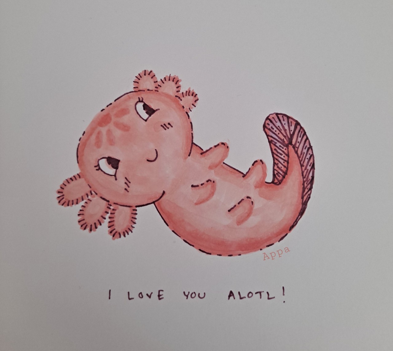 Baby Axolotl Tumblr Posts Tumbral Com