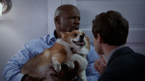 nikolaspascal:  i have alway wanted to do this but with Wolf, but I’m too lazy.
