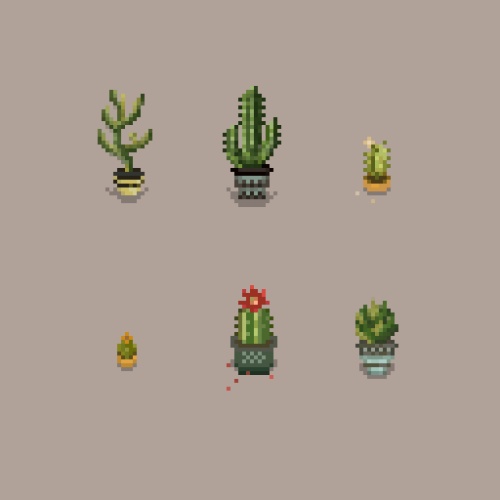 Adds cute succulents to your farmIncluding 2 new 3 seasons crops to grow and 10 new potted succulent