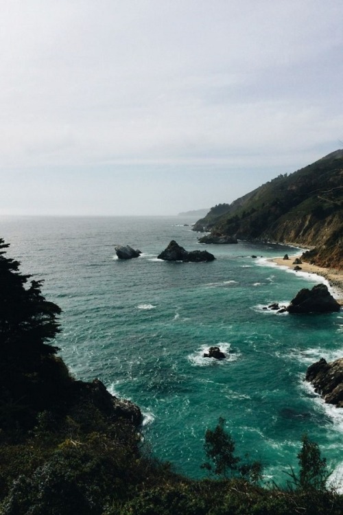 wolverxne:  Big Sur, CA| by: { angelomedel.}