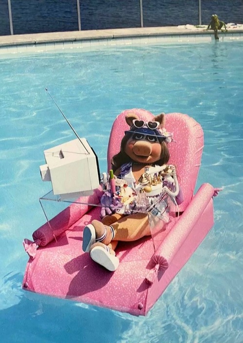 Enjoying The Summer