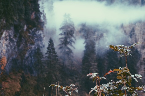 jacobandrewtaylor:Snoqualmie Falls | Nov. 2014