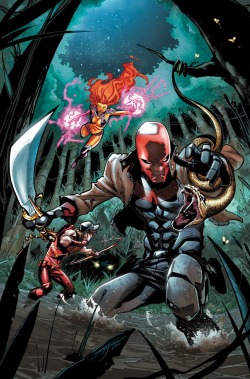 extraordinarycomics:  Red Hood & The