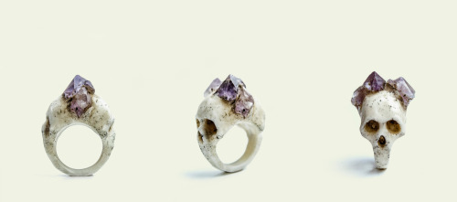 moshaholic:   I WANT THIS SO BAD IF YOU LIKE ME YOULL GET IT. 
