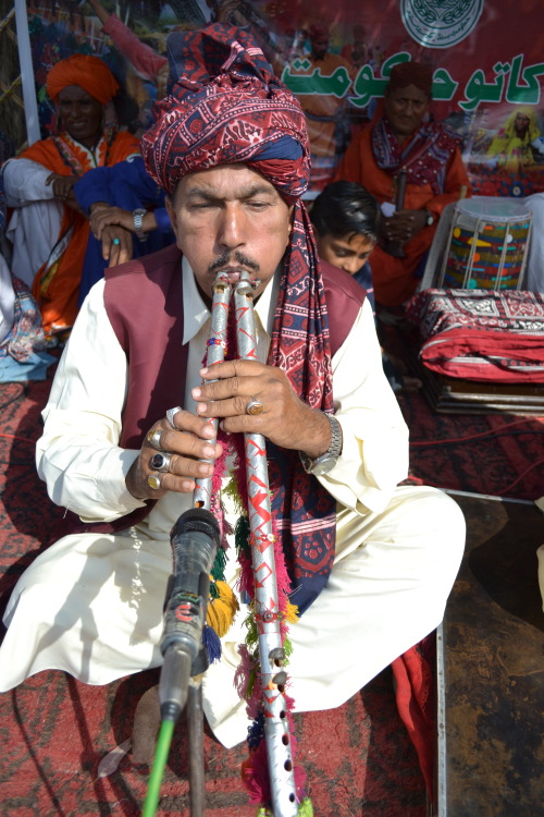 Hazaar Sindhi Rangha