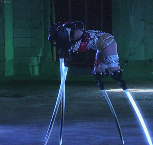 locoscientist: Tokyo gore police