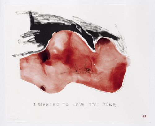 boyirl:  Louise Bourgeois // Tracey Emin I wanted to love you more, 2009-2010