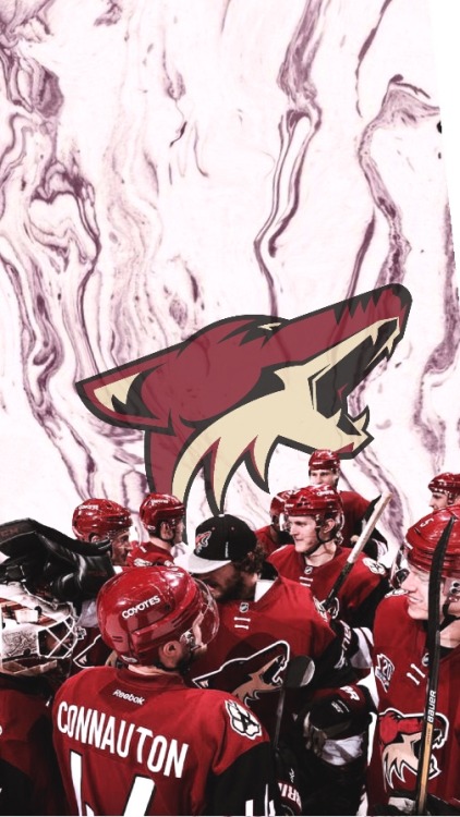 Arizona Coyotes -requested by @chychrvn