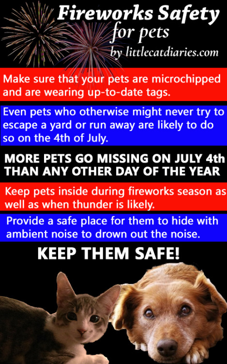 littlecatdiary:Please share this and spread the message. Pet safety around the 4th of July is someth