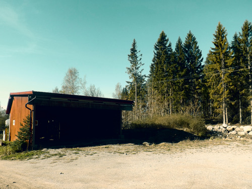 Rural Sweden. adult photos
