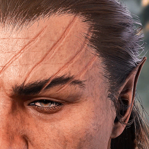 HALSIN + Details