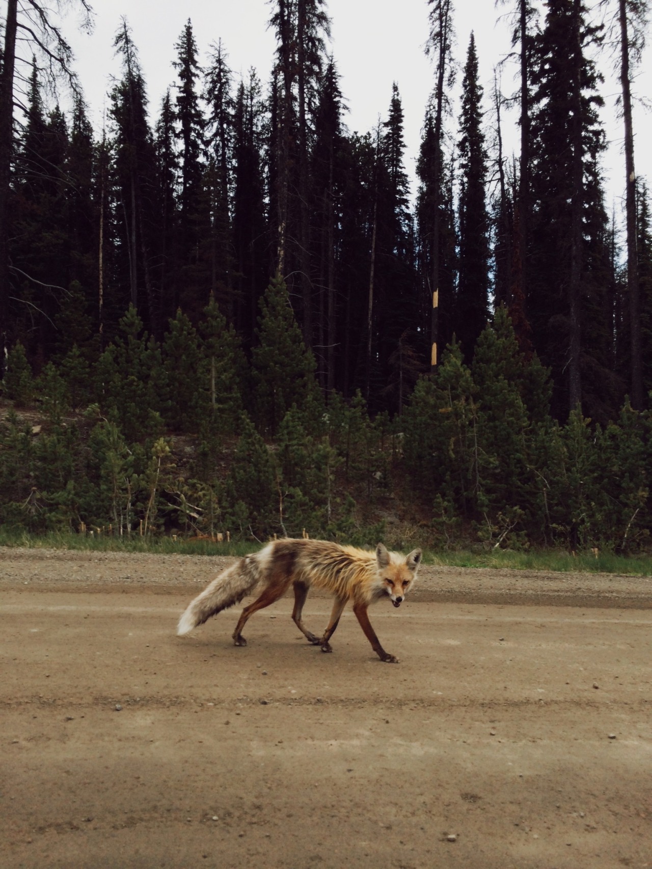danielodowd:  Kevin Russ 