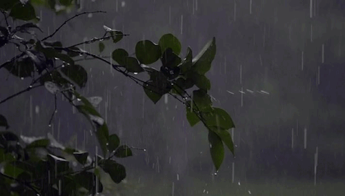 we-love-rain:   ♡ we-love-rain ☂☁ ~ by halfpress