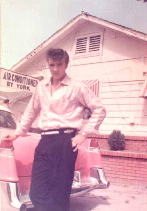ilovetheking-elvispresley:  He looks good in pink :) 