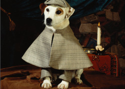 vintagegeekculture: Wishbone was a PBS series