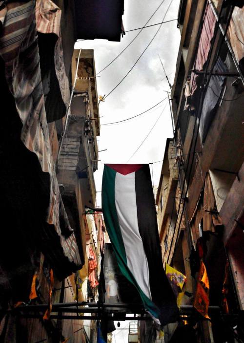 imcubo: Shatila, Beirut