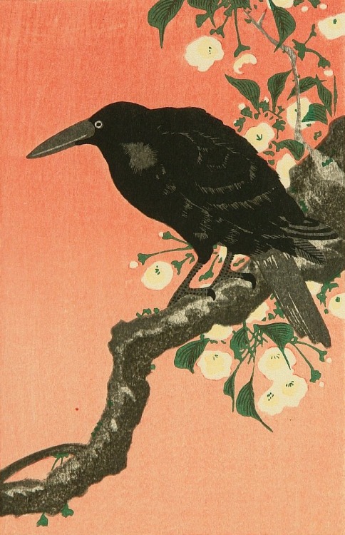 oldpaintings: Crow and Cherry Blossoms by Ohara Koson (Japanese, 1877–1945)