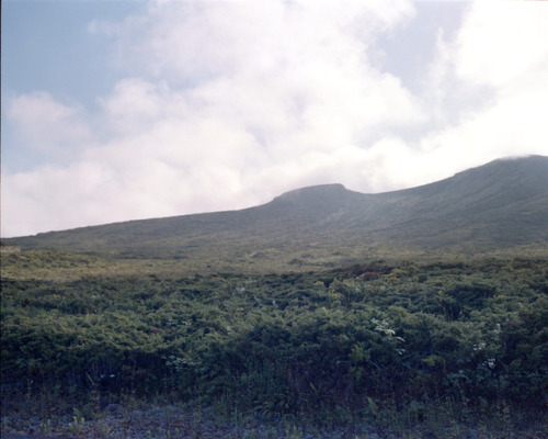 Flores, Açores