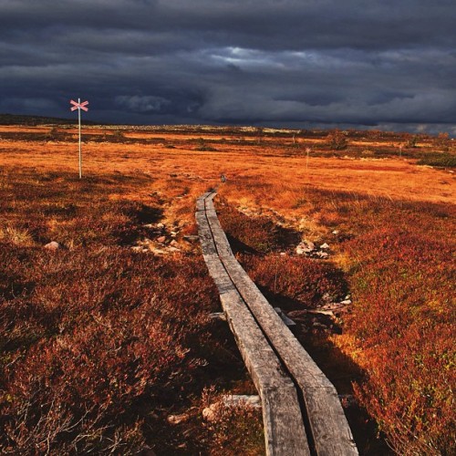 karmakontot:  #autumn #sky_painters