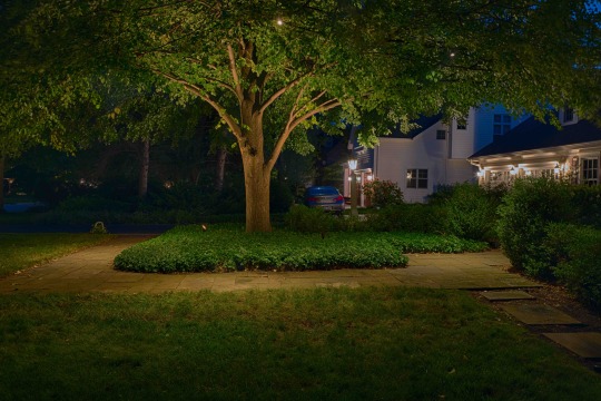 Time to shine: 4 reasons you should consider getting a professional landscape lighting system