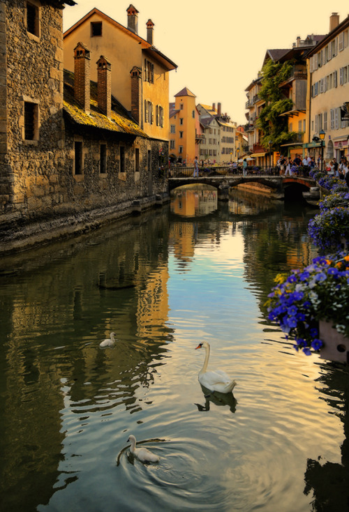 visitheworld: Summer evening in Annecy / France (by Alla Sokolova).