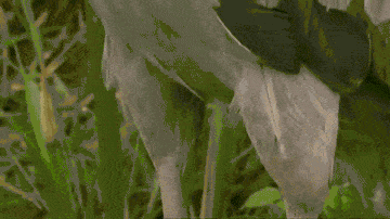 fruitcrocs:  when someone repeats a joke you just said and they get the credit for it  