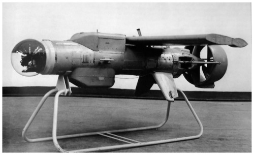 Pchela M1, late Soviet-era drone aircraft.www.cmkosemen.comImage reproduced for non-commercial purpo