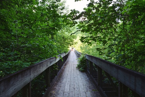 Catawba Overlook in the Big South Fork