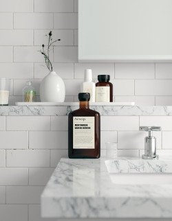 nothingtochance:  Aesop Render / Galla Semilet