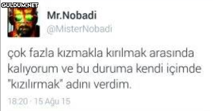 Mr.Nobadi @MisterNobadi...