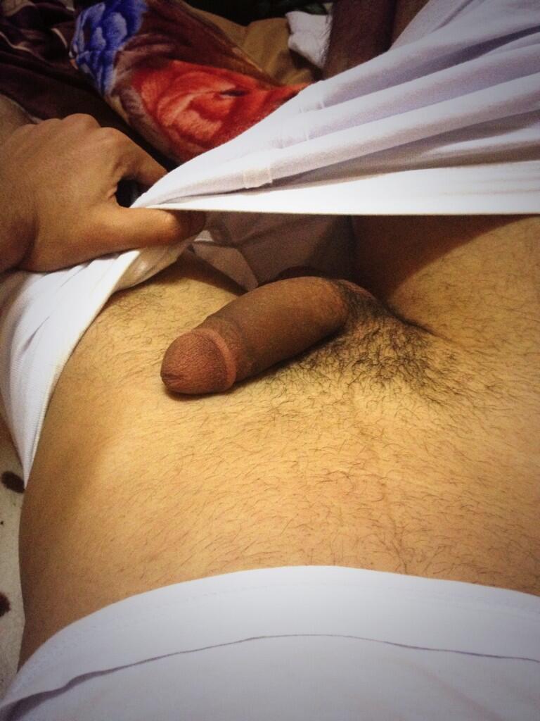 Egyptian Cock