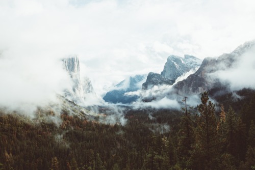 bryandaugherty:  Yosemite National Park