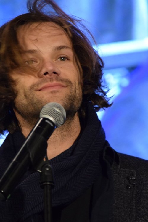 fandomismyspirit:He’s so fluffy!!!! SPN DC CON 2017 - J2 Gold Panel nothingnessjust