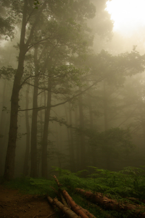 MonTsenY_21 by raületmori on Flickr.