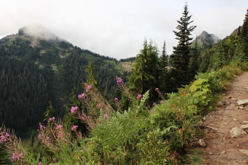 burningmine:Sheep Lake to Sourdough Gap Trail, August 2018