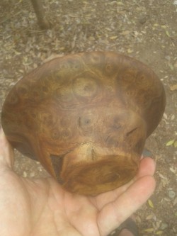 atthebeachtoday:  Walnut burl bowl 