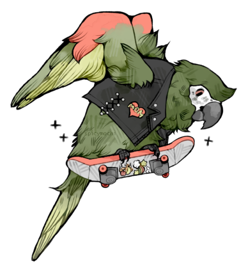 spicymochi:tony hawk pro skatebirdersteal his look