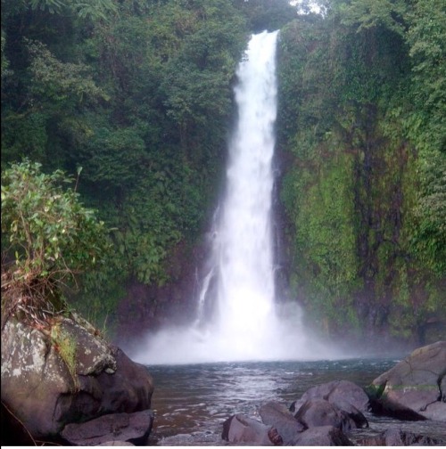 #Ureka #Malabo #EquatorialGuinea #GuineaEcuatorial #Paradise #Water #Nature #Green #Rocks #Waterfall