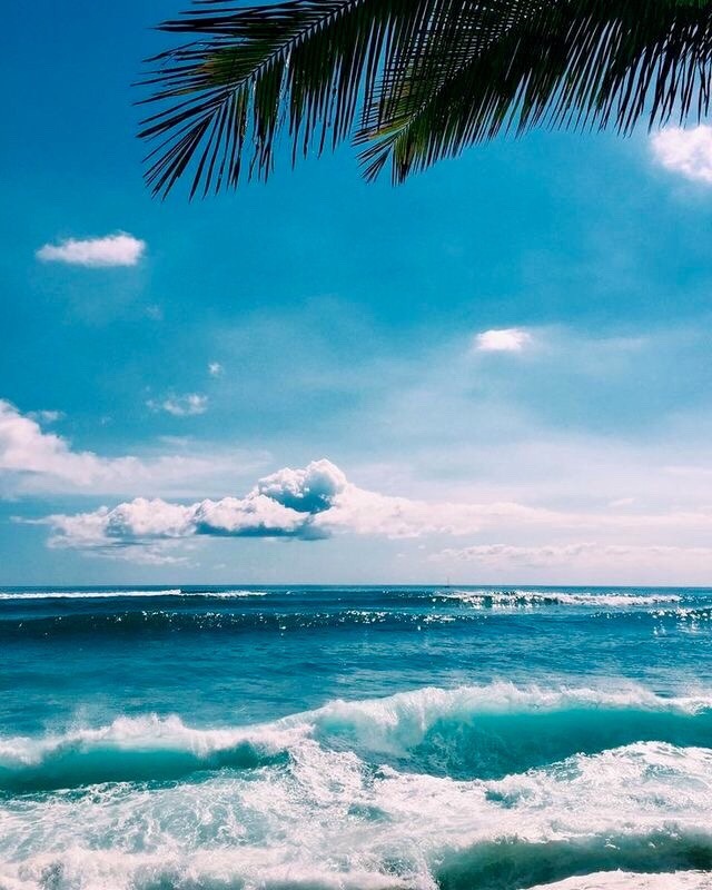 Brisa leve passageira 🌴🌊☀