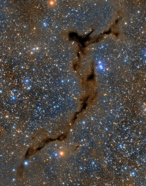 Light-years across, this suggestive shape known as the Seahorse Nebula appears in silhouette against