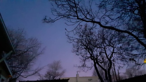 Frickin purple, dude. #mine #brazenhabits @brazenhabits #newmexicosky #abqskies #abqigrs #abqigrsnm 