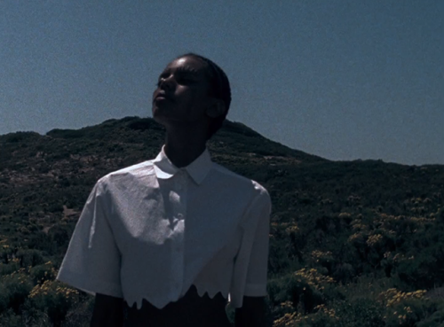 Kahlil Joseph creates a short film about overfishing for Kenzo S/S14. The short film interposes imag